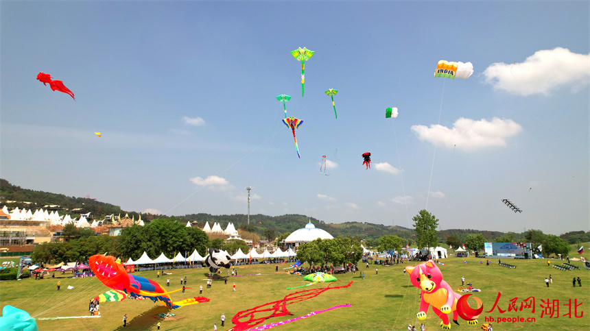 风筝节比赛正在进行中。人民网记者 周倩文摄